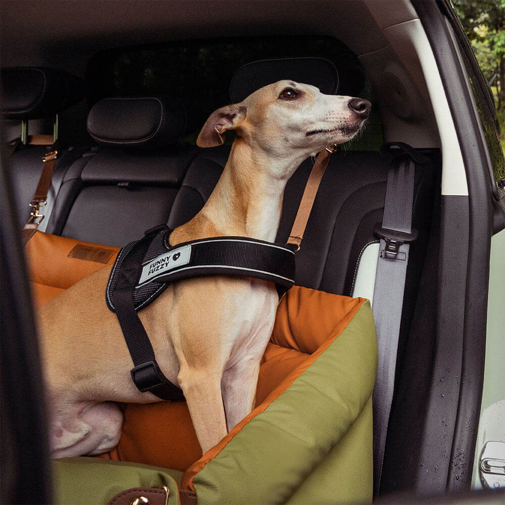 犬用カーシート – 快適さと保護