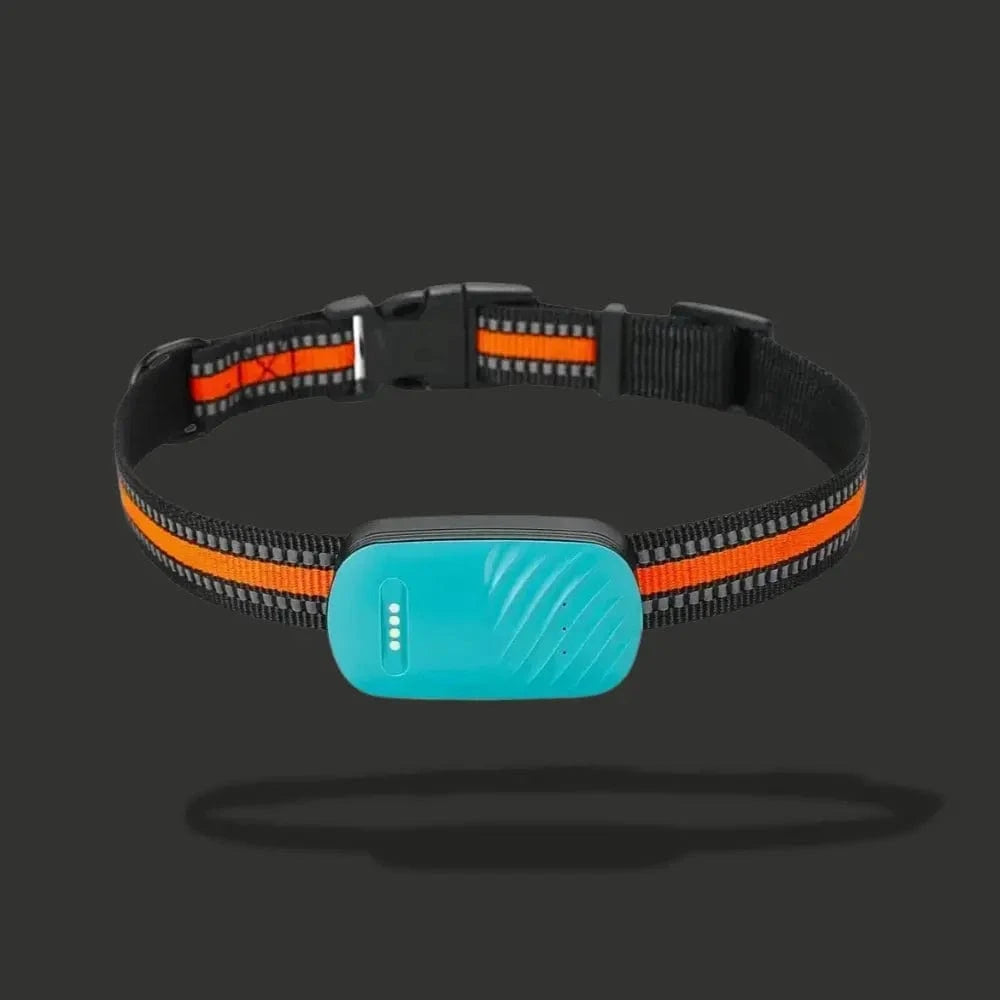 سوار تتبع GPS للقطط – تحديد الموقع والراحة اليومية