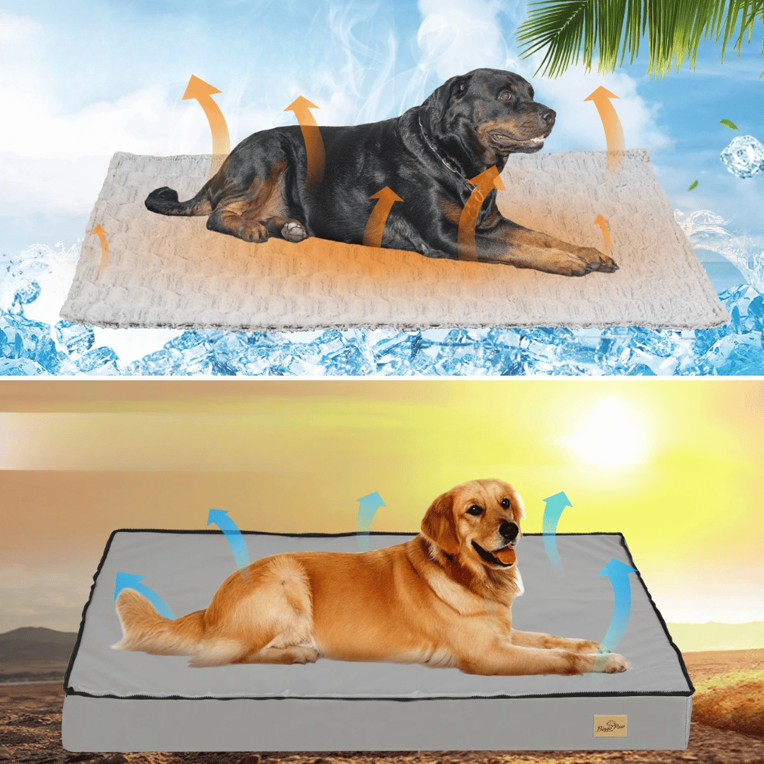 Lit Confort Pour Chien – Idéal Pour Le Repos Et La Récupération