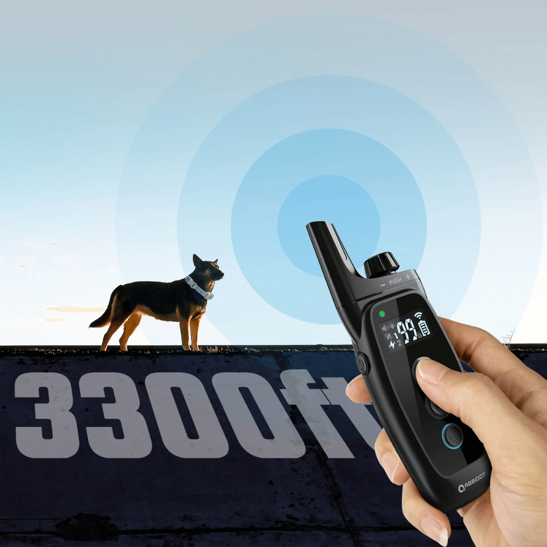 Halsband für Hundetraining – LED-Fernbedienung und Reichweite 1000 m