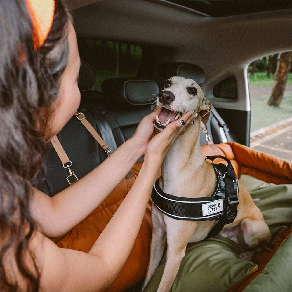 犬用カーシート – 快適さと保護
