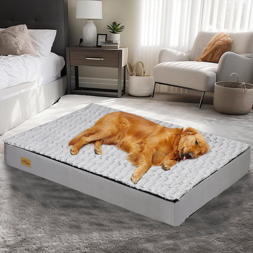 Lit Confort Pour Chien – Idéal Pour Le Repos Et La Récupération