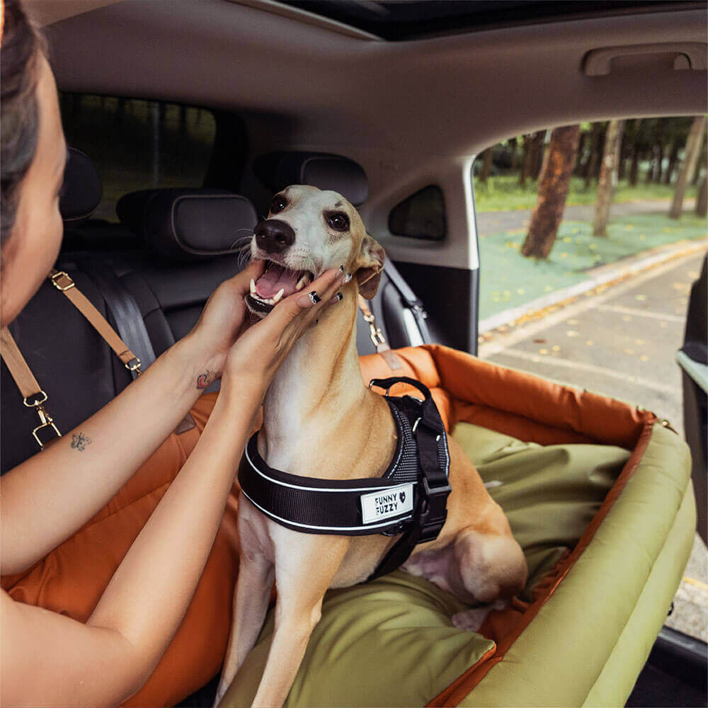 犬用カーシート – 快適さと保護
