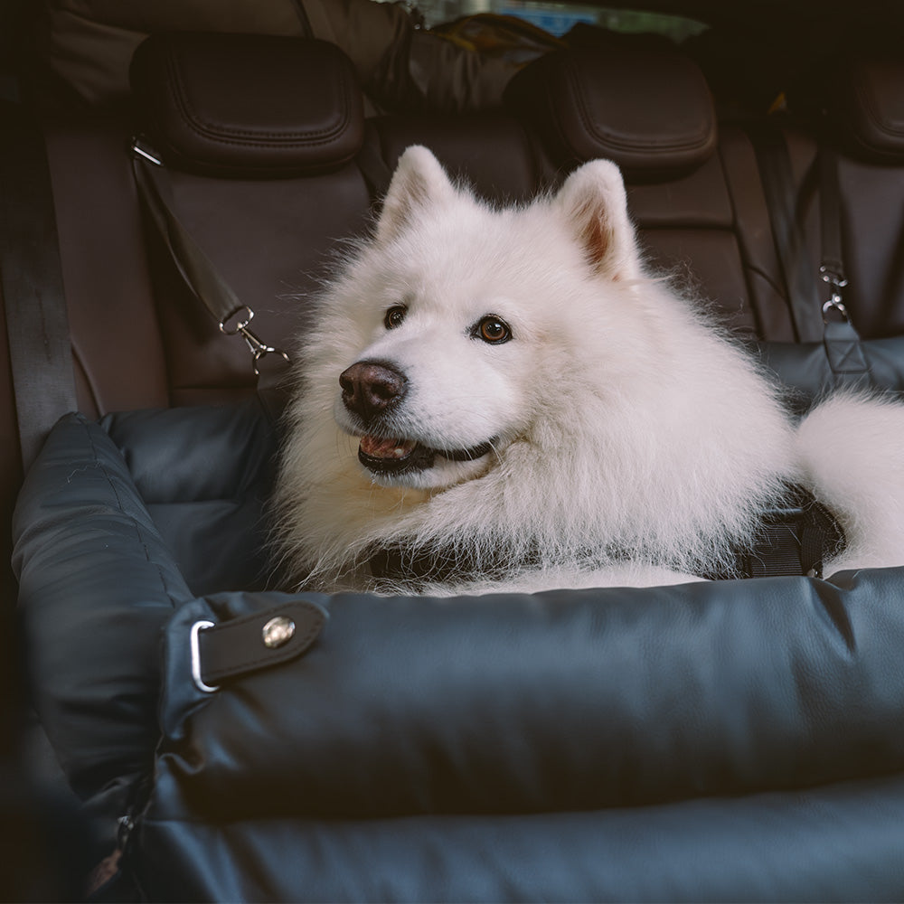 犬用カーシート – 快適さと保護