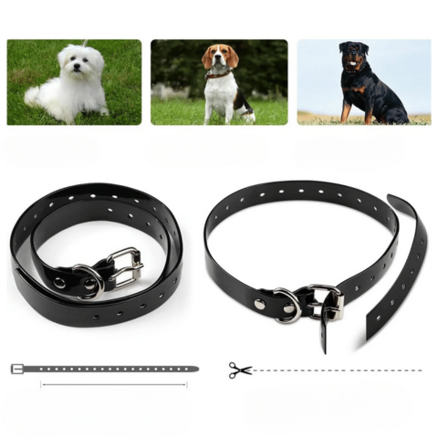 Collar de adiestramiento remoto – Alcance 800 m, impermeable y recargable