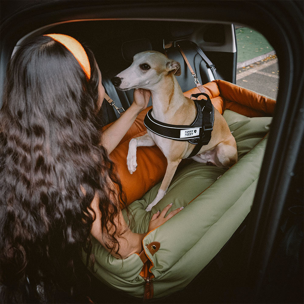 犬用カーシート – 快適さと保護