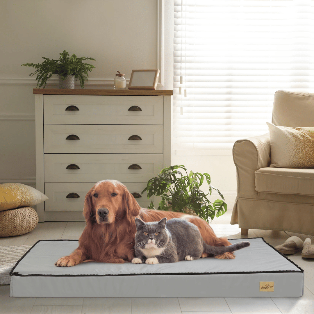 Lit Confort Pour Chien – Idéal Pour Le Repos Et La Récupération