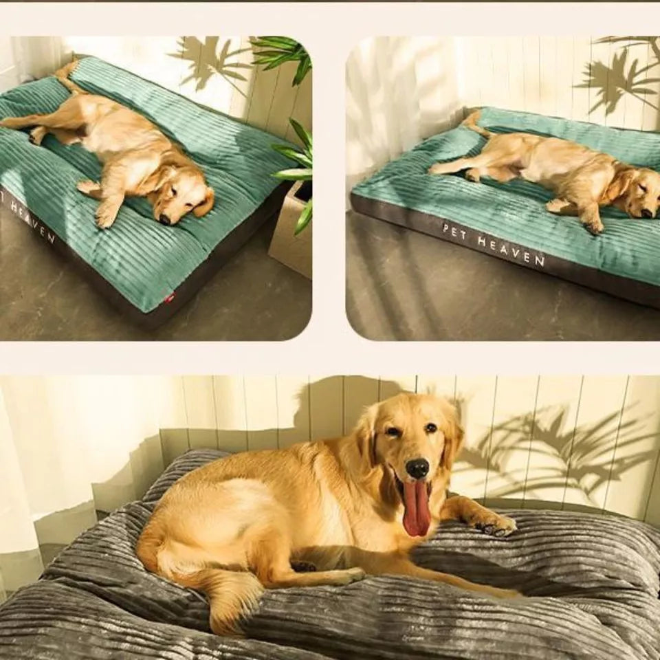 Cama Confortável Para Cão – Apoio Óptimo E Descanso Pacífico 