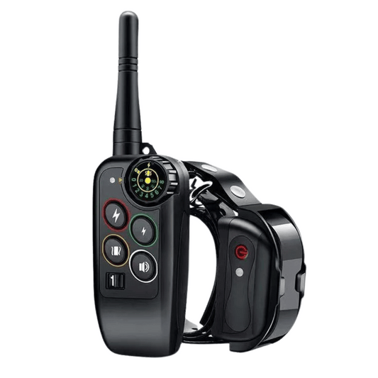 Collier De Dressage À Distance – Précision Et Portée Optimale
