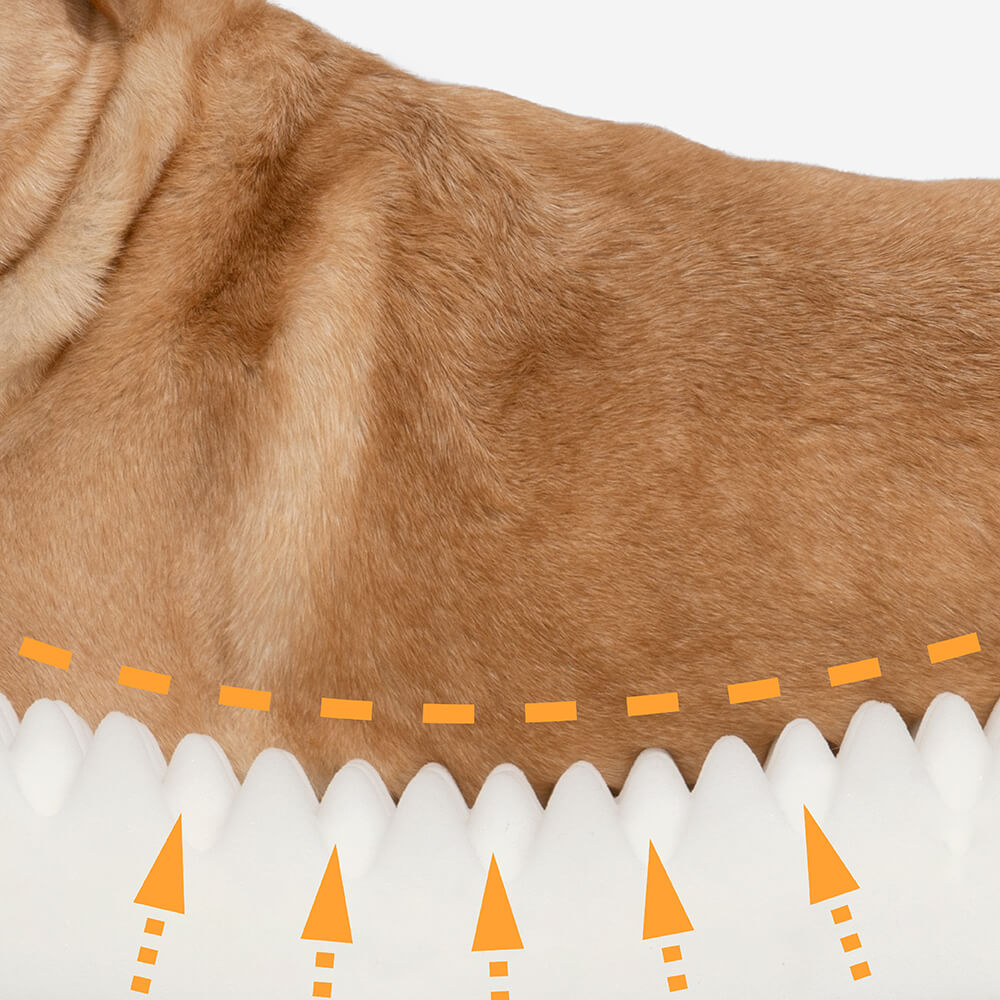 Dog Bed in Donut Shape – Comfort and Softness 