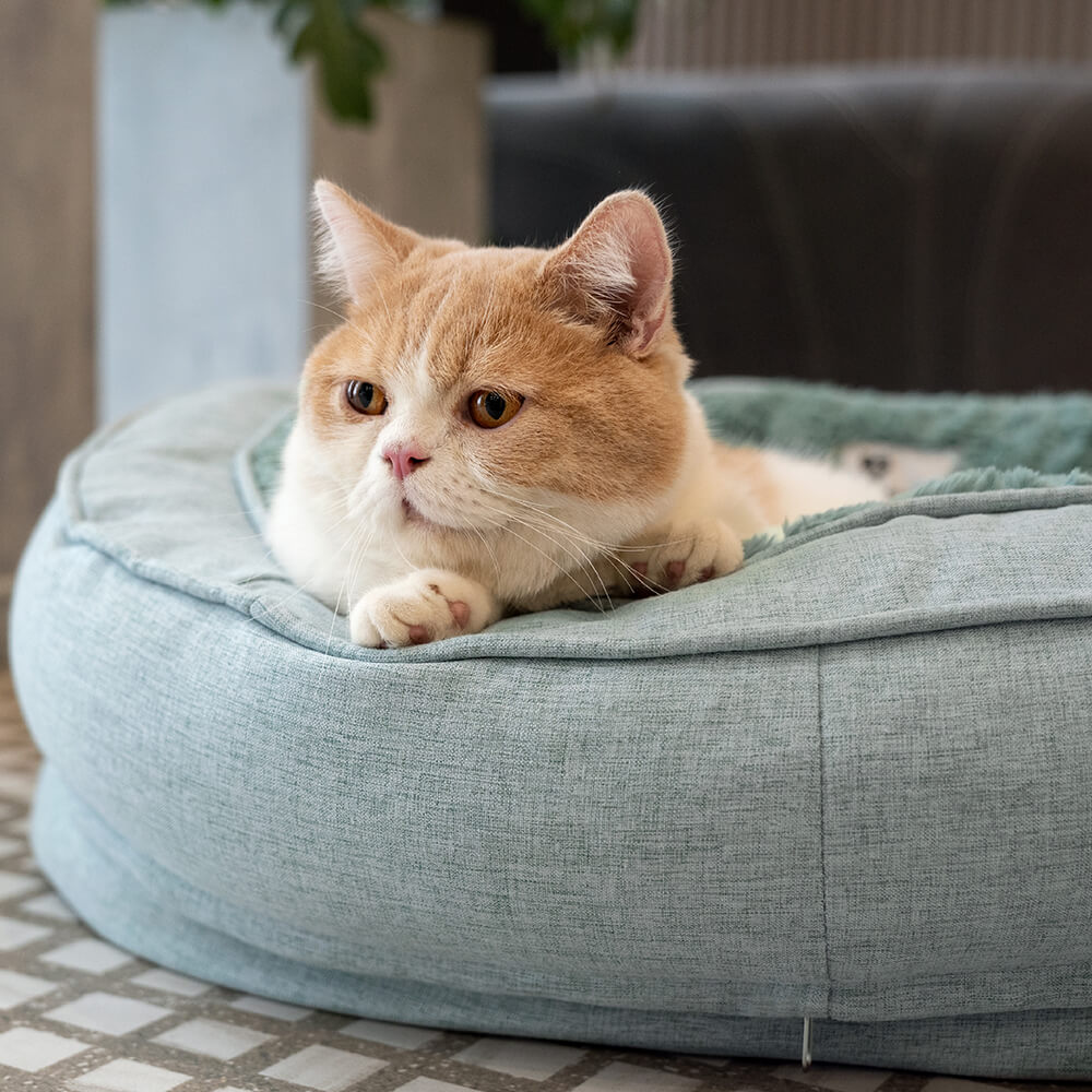 Dog Bed in Donut Shape – Comfort and Softness 
