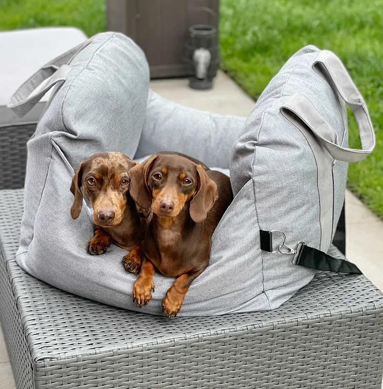 Rustgevend Reisbed Voor Honden - Rustgevend En Gemakkelijk Mee Te Nemen