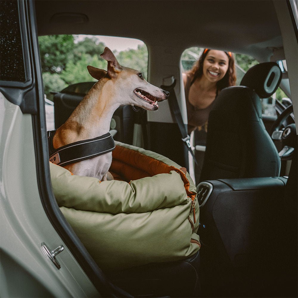 Bilsete for hund – Komfort og beskyttelse 