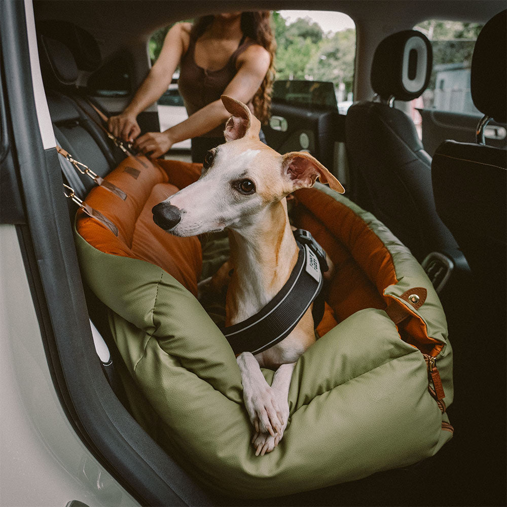 Bilsete for hund – Komfort og beskyttelse 