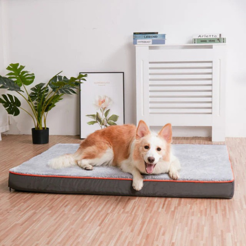 Lit Pour Grands Chiens – Confort Et Espace Adapté