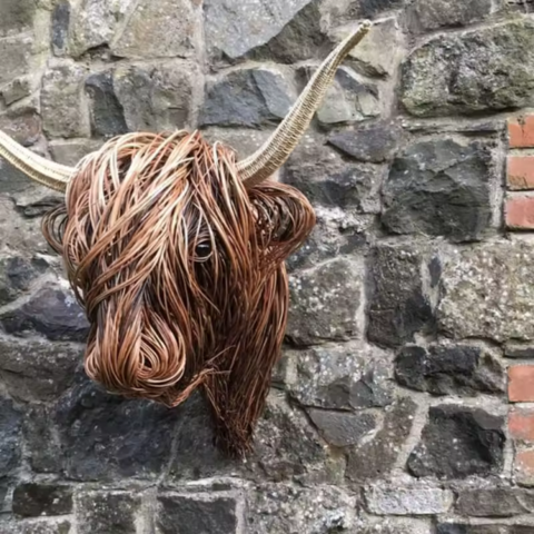 Hoved af en fletning – Naturlig vægkunst 