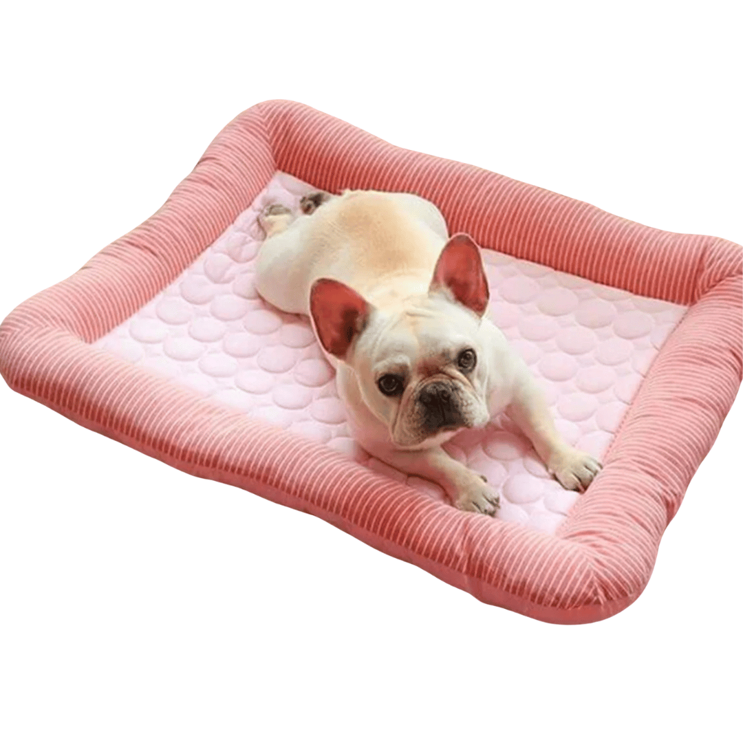 Cojín Refrescante Para Perro – Frescura Y Confort En Verano 