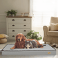 Lit Confort Pour Chien  – Idéal Pour Le Repos Et La Récupération