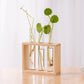 Aesthetic Hydroponic Tube Vase