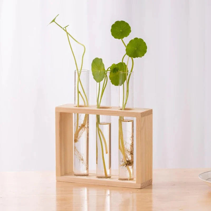 Aesthetic Hydroponic Tube Vase