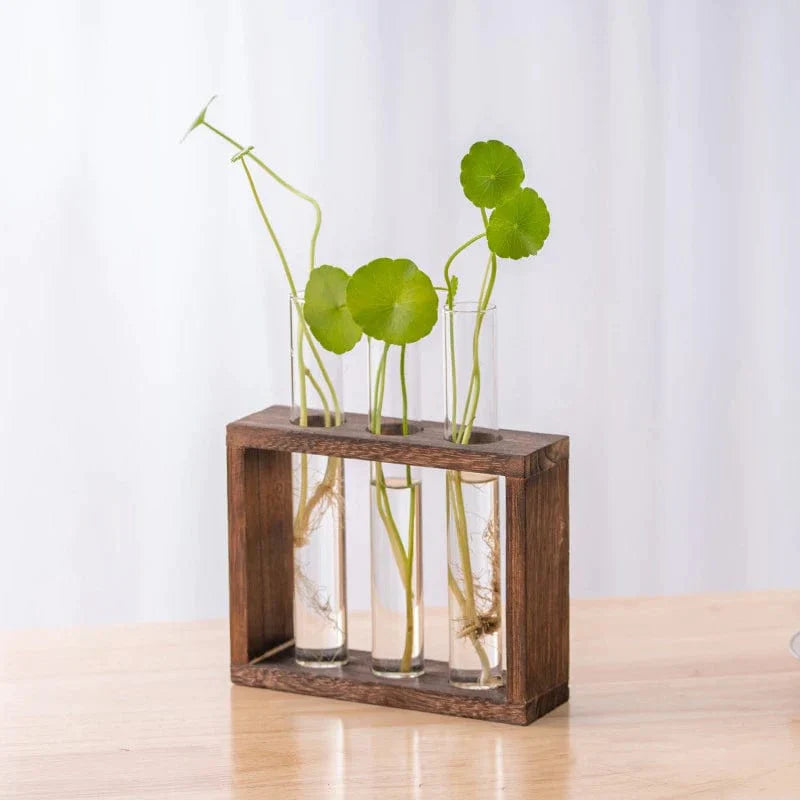 Aesthetic Hydroponic Tube Vase